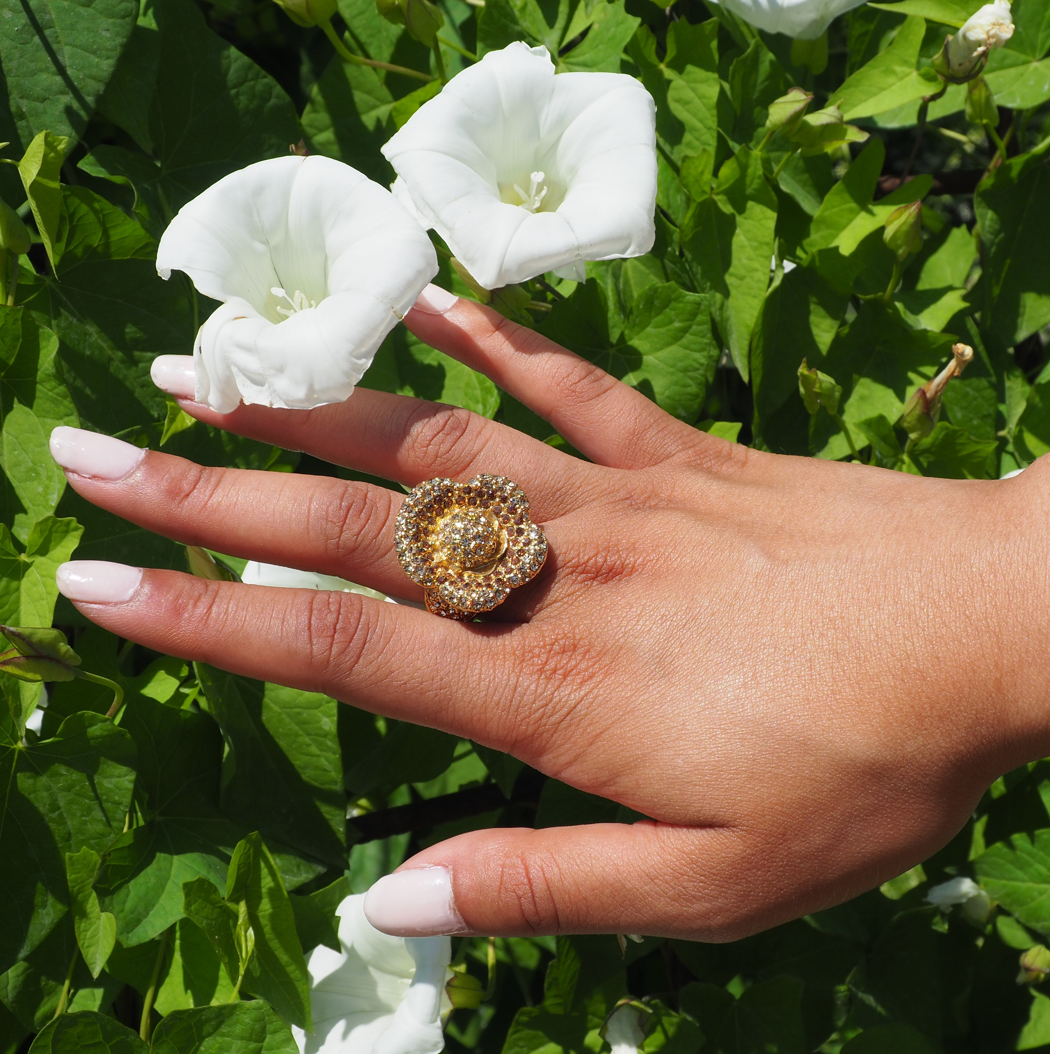 Fleurs Magiques
