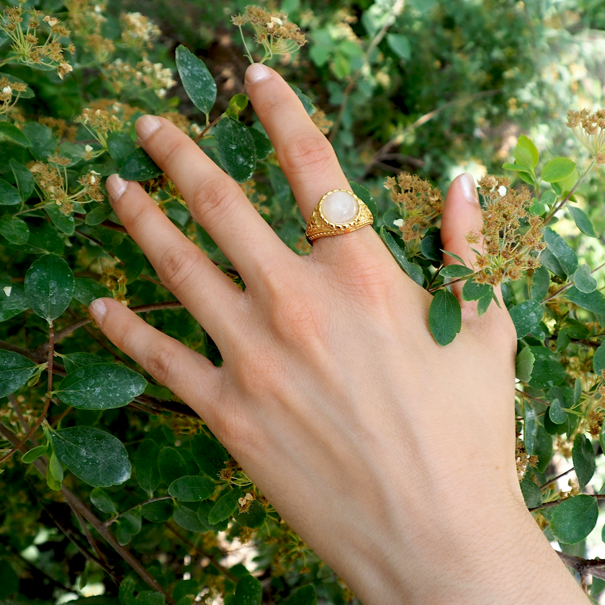 Pastel - Quartz Rose