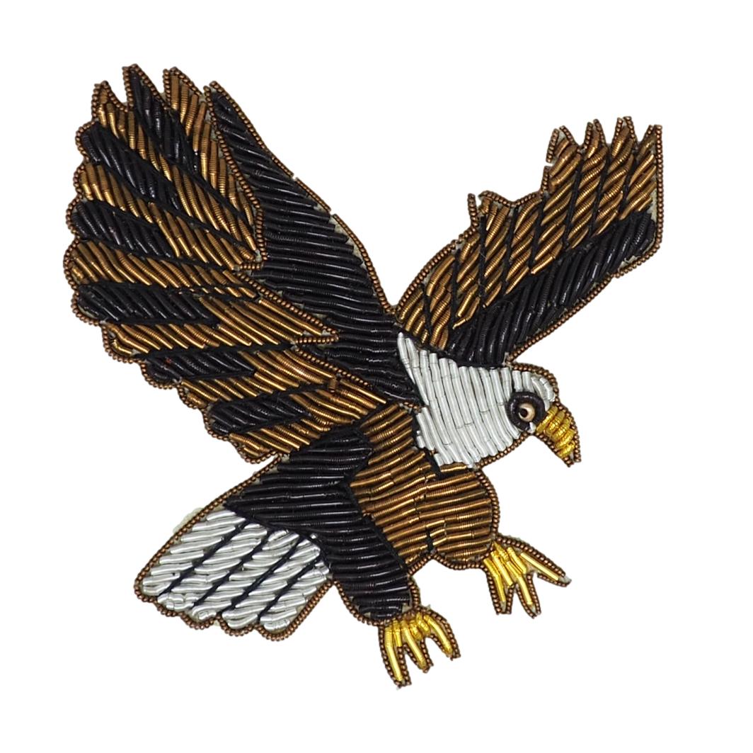 Aquila