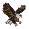 Aquila