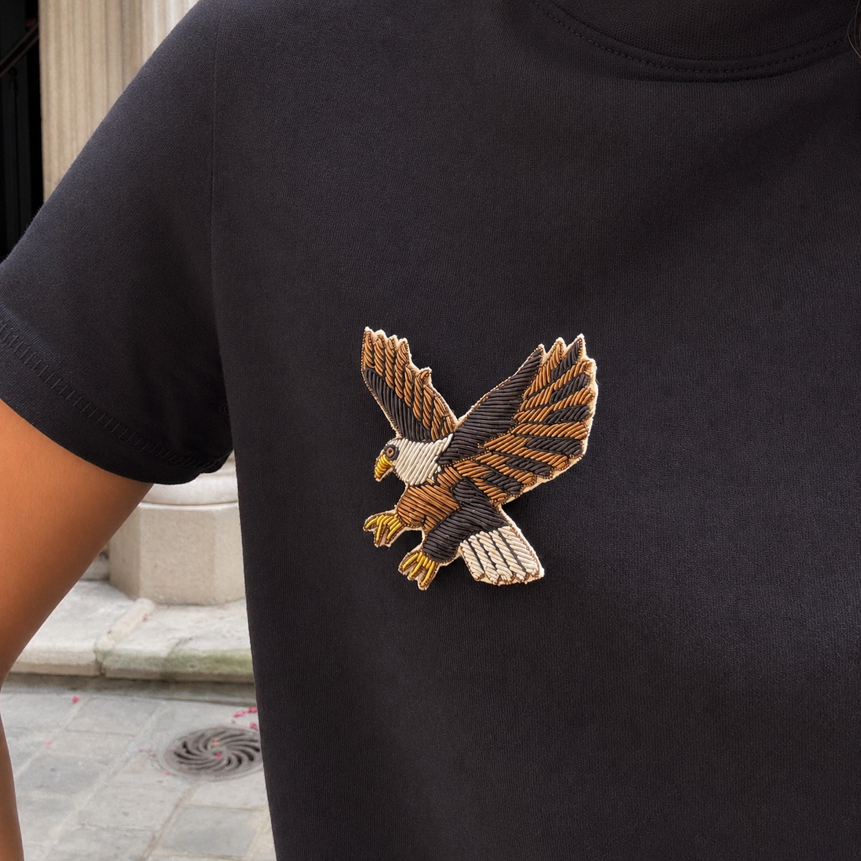 Aquila