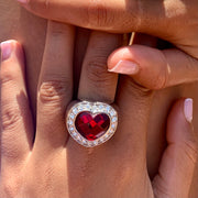 Crazy Heart - Rouge