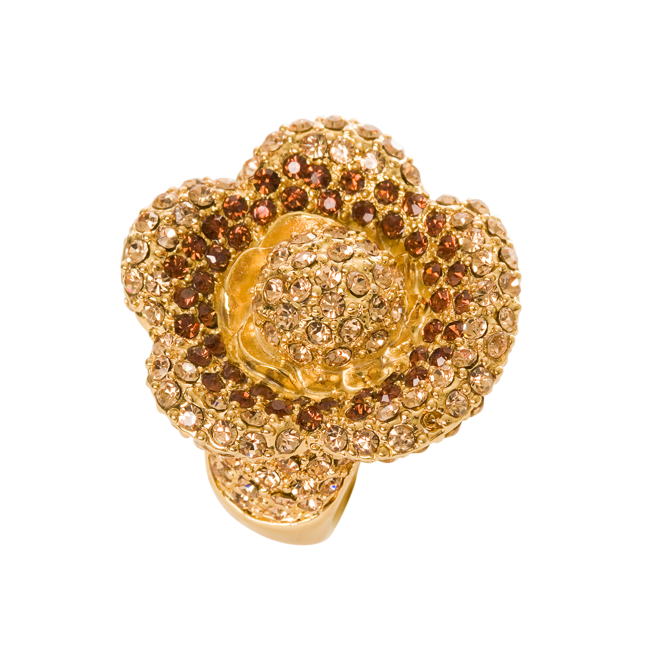 Fleur du soleil