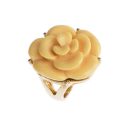 Bouton d'or - Jaune