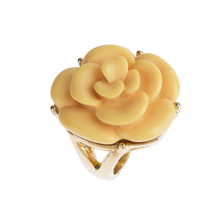 Bouton d'or - Jaune