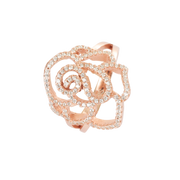 Rose Éternelle - Rose