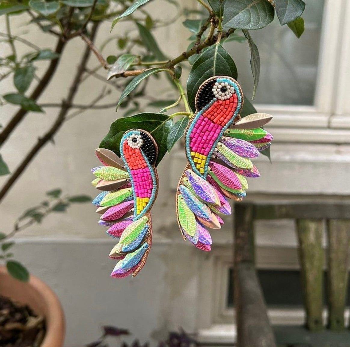 Oiseau de Paradis
