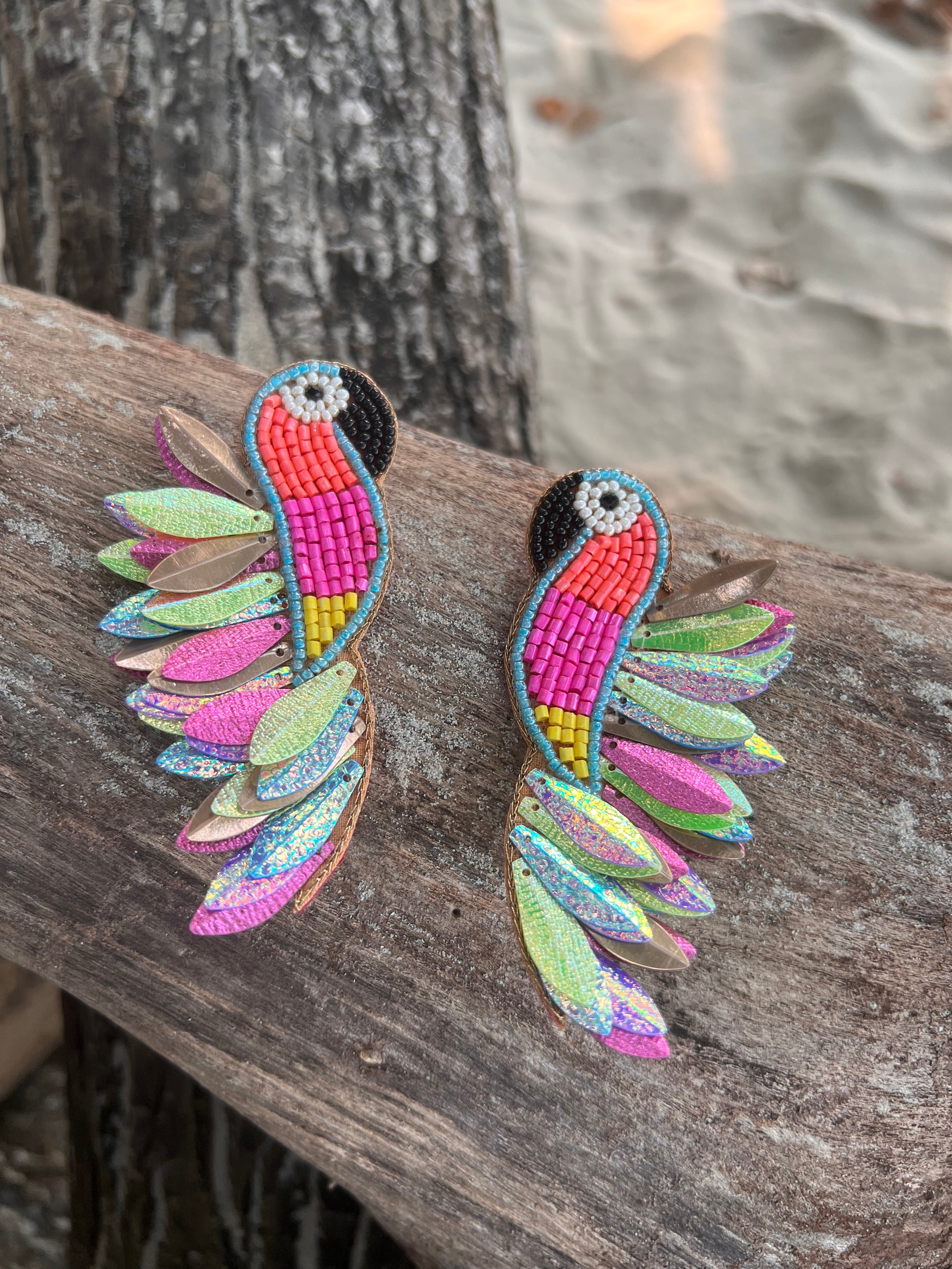 Oiseau de Paradis