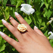 Bouton d'or - Jaune