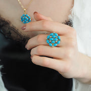 Hibiscus - Bleue